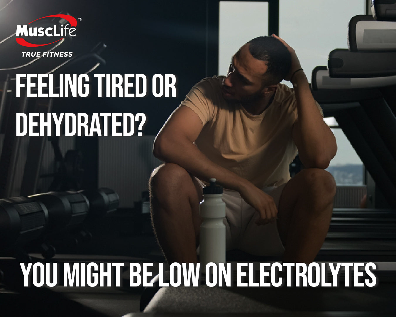 what are electrolytes