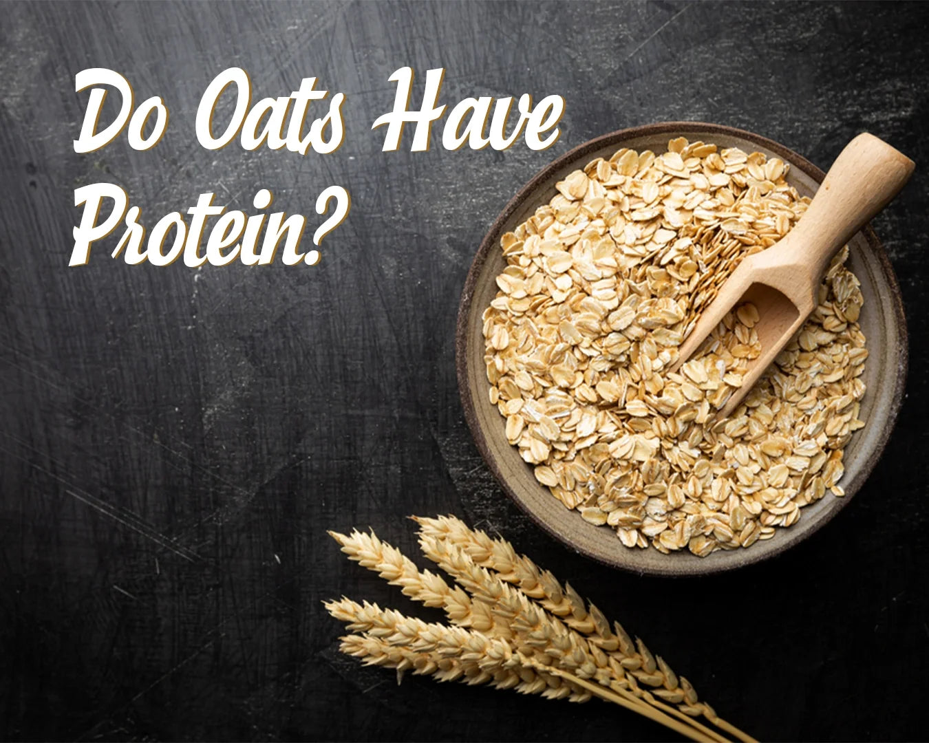 Do Oats Have Protein? How Much Protein Is in Oats with Recipes