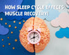How Sleep Cycle Effects Muscle Recovery! A Complete Guide