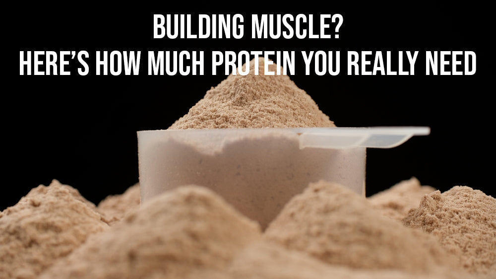 How Much Protein Do You Need Per Day for Muscle Building