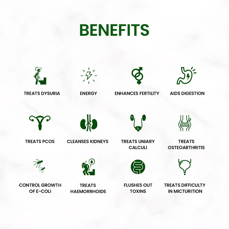 UT SUPPORT VEG. CAPSULES image 2