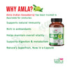 Amla-herbal-capsules-veg-tablets-for-immunity-and-Hair-Growth