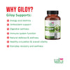 Giloy Capsules | Immunity Booster Ayurvedic Tablet