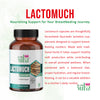 Lactomuch Lactation Supplement for breast feed