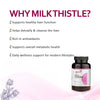 Milk-Thistle-benefits