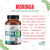 description of Moringa Capsules