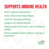 Moringa Capsules supports
