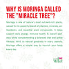 why Moringa Capsules called miracle tree