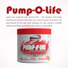 description of Pump-O-Life