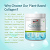 COLLAGEN