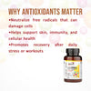 antioxidant multivitamin supplement