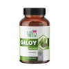 ayurvedic giloy capsules herbal remedy